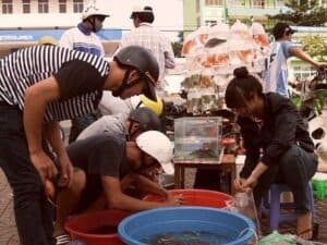 kinh doanh cá kiểng