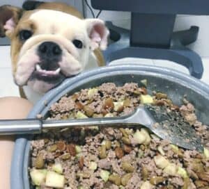 Nấu nội tạng làm thức ăn cho chó